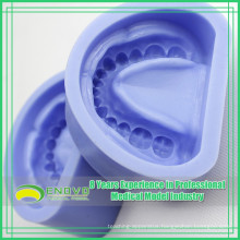 EN-G3 High Quality Blue Silicon Rubber Mould for Casts of Edentulous Arches